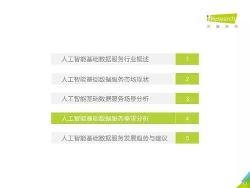 中国人工智能基础数据服务行业报告 聚焦人工智能基础软件开发